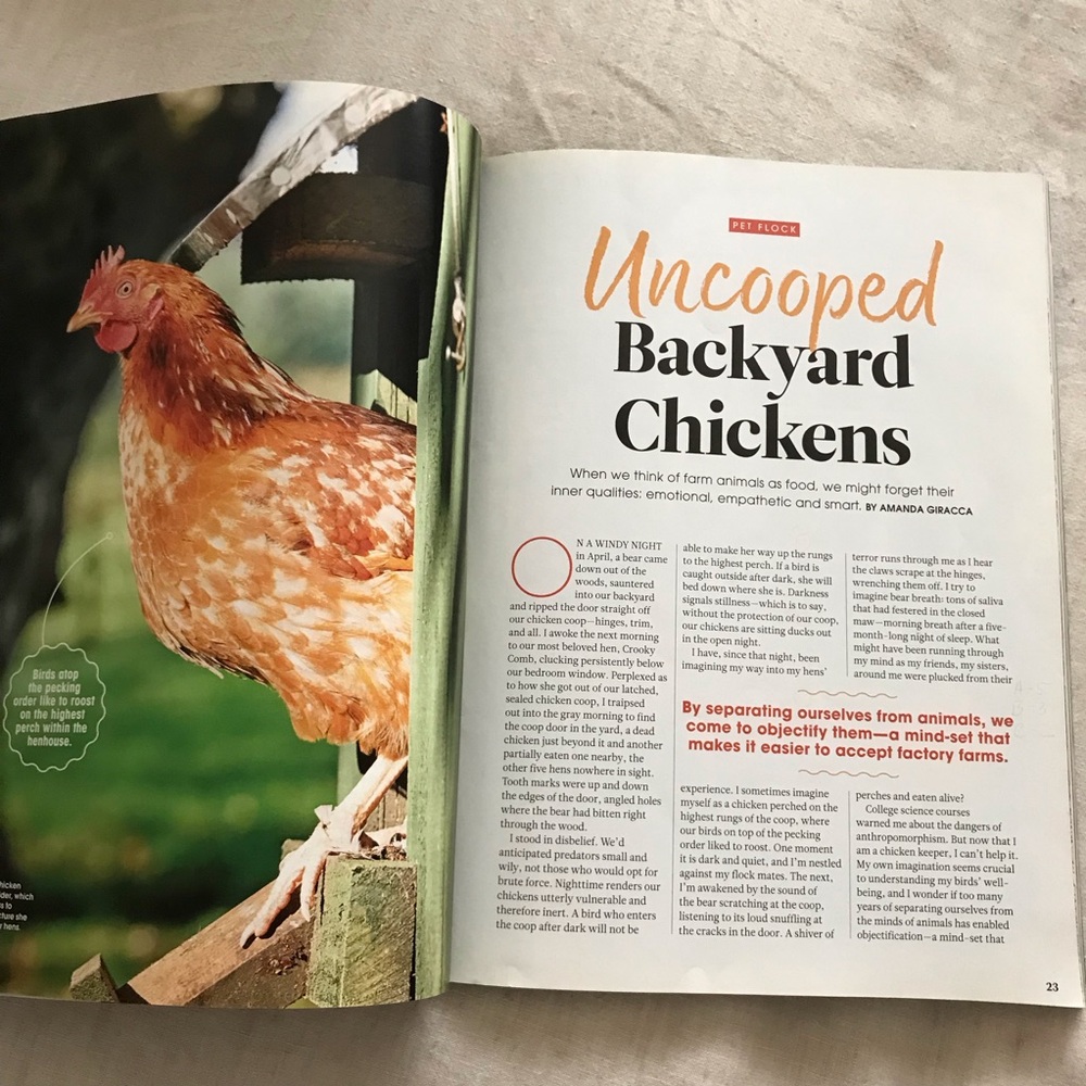FREE The Ultimate Guide to the Animal Mind - Picture 4 of 10